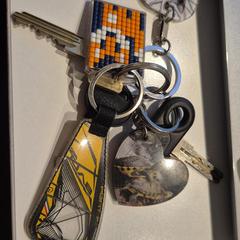 Sleutelbos, ha sido reportado a iLost