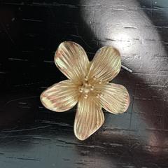 Geel kleurige broche, segons s'ha informat a iLost