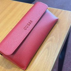 Brillenkoker, zoals gemeld door Arriva Achterhoek-Rivierenland met iLost