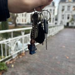 Sleutelbos, som rapportert til iLost