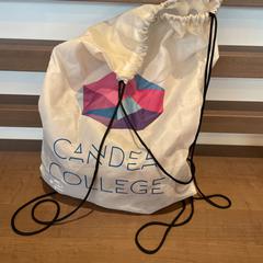 Tas (Candea College), ako bolo nahlásené Pathé Arnhem pomocou iLost