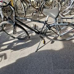 İLost kullanarak Gemeente Roermond tarafından bildirildiği gibi Erkek bisikleti