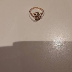 Ringe, som rapportert av Campus Den Haag ved bruk av iLost