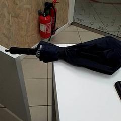 Paraply, som rapportert av ilévia ved bruk av iLost