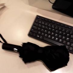 Paraply Zwart, rapporterat av LUMC med iLost