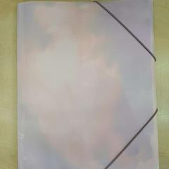 Cardholder, as reported by Bolognalaan 101 using iLost