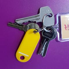 Sleutelbos, zoals gemeld door Gemeente Oost Gelre met iLost