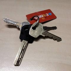 Sleutels, segons ha informat Arriva Oost-Brabant mitjançant iLost