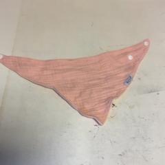 Slabbetje, a été signalé par Artis utilisant iLost