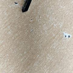 Sleutels, zoals gemeld door Centraal magazijn met iLost