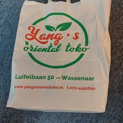 Bag, as reported by EBS OV Poeldijk using iLost