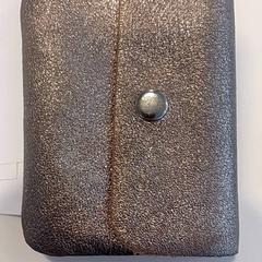 Carteira Goud, como reportado por RAI Amsterdam utilizando o iLost