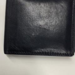 Cartera Teixeira Penalva, segons ha informat Gemeente Haarlem mitjançant iLost