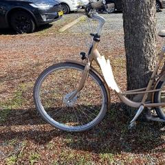 Damesfiets goudkleurig، كما تم الإبلاغ عنه عبر iLost