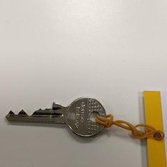 Chaves Dorma kaba, como reportado por Centraal magazijn utilizando o iLost