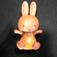 Speelgoed & Nijntjespeelgoed, zoals gemeld door Burgers' Zoo met iLost