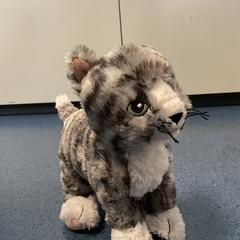 İLost kullanarak Breng Arnhem tarafından bildirildiği gibi Knuffel Kat