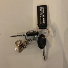 Kľúčenka sleutels, ako bolo nahlásené Gemeente Amsterdam pomocou iLost