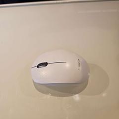 Ratolí XSSIVE, segons ha informat Room Mate Bruno mitjançant iLost