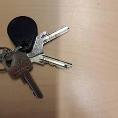 キーホルダー がiLostで RET によって報告されました