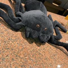 Knuffel Spin zwart, ha sido reportado por Pathé Nijmegen con iLost