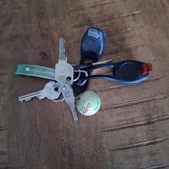 Sleutelbos an iLost gemeldet