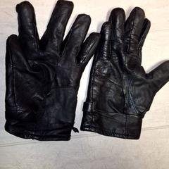 Luvas, segundo informou Qbuzz DMG usando iLost