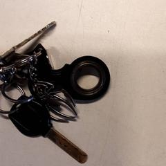 Chaves (várias), como reportado por Qbuzz ZHN utilizando o iLost