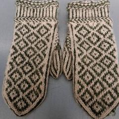 Handschuh Vit grön, gemeldet von Keolis Lund über iLost