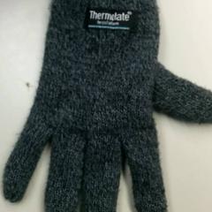 Glove Grijs, as reported by Burgers' Zoo using iLost