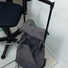 Carriño da compra, segundo informou ilévia usando iLost