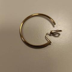 Belarritakoa, gisa salatu by Vrije Universiteit Amsterdam iLost erabiliz