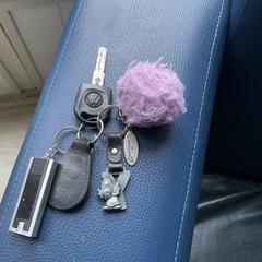 Autosleutelhanger met 1sleutel VW., ha sido reportado a iLost