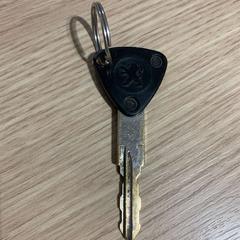 Clave Peugeot sleutel, segundo informou Gemeente Westervoort usando iLost