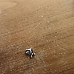 Kolobežka, ako bolo nahlásené BOAT&CO pomocou iLost