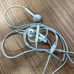 Auricolare earphones, come riportato da Vrije Universiteit Brussel (VUB) utilizzando iLost