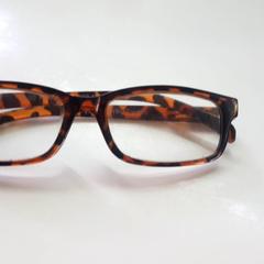Lunettes Bruin, a été signalé par Beeld & Geluid Hilversum utilisant iLost