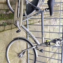 Bicicleta masculina Gazelle, segons ha informat Stadswerk072 mitjançant iLost