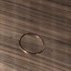 Polsera, segons ha informat Van der Valk Hotel Zwolle mitjançant iLost