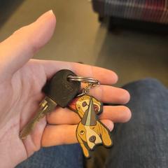 Sleutel met sleutelhanger, ako bolo nahlásené iLost