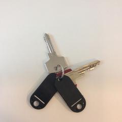 Kľúčenka, ako bolo nahlásené Gemeente Barneveld pomocou iLost