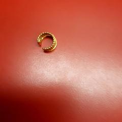 Boucle d'oreille oorvel, a été signalé par UvA REC utilisant iLost