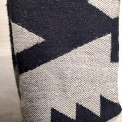 Scialle Zwart en grijs, come riportato da Arriva Friesland / Groningen utilizzando iLost