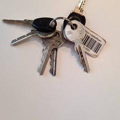 Schlüssel, gemeldet von Gemeente Baarn über iLost