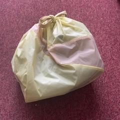 Handbag, as reported by Arriva Achterhoek-Rivierenland using iLost