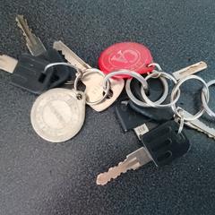 Sleutelbos, ako bolo nahlásené iLost