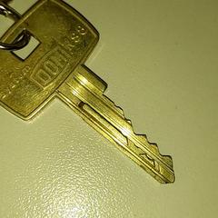 المفاتيح، كما تم الإبلاغ عنه بواسطة Regio Antwerpen - Brussel عبر iLost