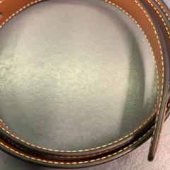 Pás, jak nahlášeno Eindhoven Airport pomocí iLost