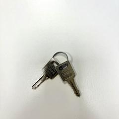 Sleutels, zoals gemeld door IKEA Gävle met iLost