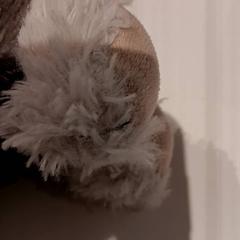 Knuffel, a été signalé par De Efteling utilisant iLost